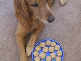 Secret Recipe Club - Peanut Butter & Oatmeal Dog Biscuits