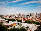 Field Trips, Futsal, and Farmer's Market... (Ribeirao Preto)