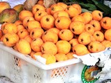 Chinese Loquat – a Sichuan Delicacy