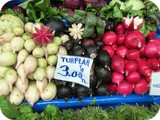Some Salad Ideas for Radishes or Turp
