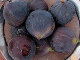 Spiced Plum and Fig Jam