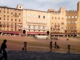 7 note in 7 notti a Siena
