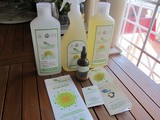 Collaborazione con Verdevero, Eppicotispai, dolci di Sardegna