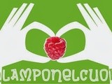 Mattonella cioccolato e lamponi per UnLampoNelCuore