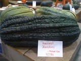 (Nearly) Wordless Wednesday: vt's biggest zucchini