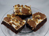 Enjoy In This Fudgy s’mores Brownies