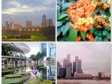 First images from Singapore