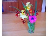Flowers and veggies from my garden, and writing about living in Oratia