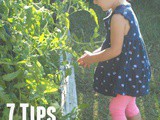 7 Tips to Create Non-Picky Eaters