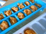 It's That Time Again, Homemade Baby Food
