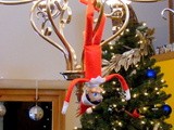 Elfie's Antics: Week Two