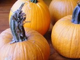 Pumpkin Puree Tutorial