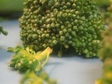 Broccoli Salad with Hazelnut Mayonaise