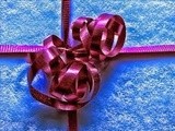 An Organic Wife's Holiday Gift Guide 2013