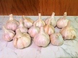 How to Preserve Garlic