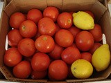 Recipe: Homemade Tomato Sauce (and a Canning How-To!)