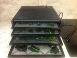 Review: Excalibur 2400 Food Dehydrator