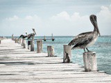 Why You Need Travel Insurance