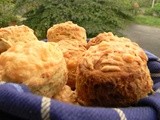 Cheese Scones