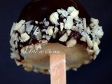 Bon bon freddi yogurt e cioccolato su stecco