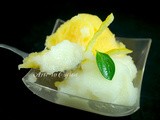 Gelato al limone e arancia senza gelatiera