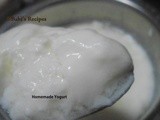 Homemede Curd | How to make plain yogurt  at home | Kitchen Basics