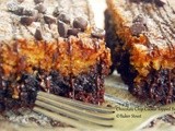 Chocolate Chip Cookie Topped Brownies
