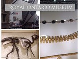 The rom – a quick visit