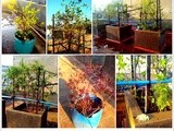 Our Special Bond with Nature