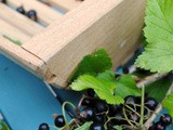 My homemade Crème de Cassis in The Irish Times and other blackcurrant ideas