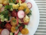 Meyer Lemon, Radish, Cucumber and Tomato Salad with Citrusy Dressing