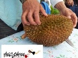 Meine Albtraum Frucht – Durian – ist nicht so schlimm