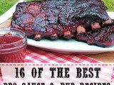 16 of the Best bbq Sauce and Rub Recipes