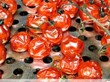 Roasting Tomatoes on the Grill
