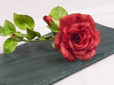Long Stem Roses From Bud To Wired Petals Video Series