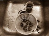 Ritratto di lavello / portrait of a kitchen sink