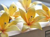 How to Make Gum Paste Lilies (Tutorial)