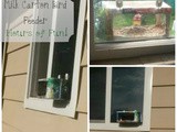 Milk Carton Bird Feeder with KidsGardening.org + a Giveaway