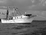The Demise of the Shrimp Boat  Dammit -Black and White Wednesday #137