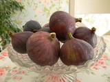 Figs, Voluptuous Figs