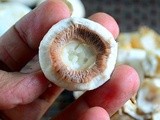 How to buy & clean mushrooms