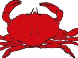 Crab Bisque