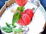 Berry Basil Wine Sorbet / Ягодно Базиликовое Сорбе с Вином