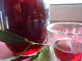 Laurino, liquore di bacche di alloro