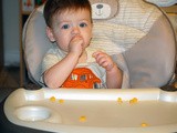 Munchkin Meals: Lunch