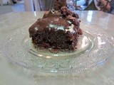 Mississippi Mud Cake