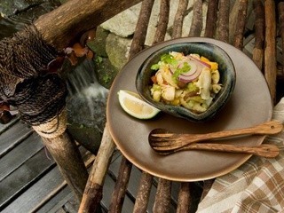 Health and Wellness: Raw Living Food Cuisine from The Farm at San Benito