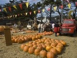 Smashin' Pumpkins
