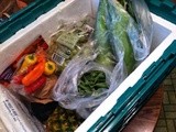 Fresh Produce At Your Door {a Review of Green bean Delivery}