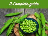 Green Peas 101: Nutrition, Benefits, How To Use, Buy, Store a Complete Guide